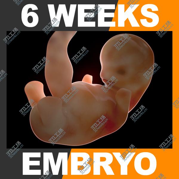 images/goods_img/202105073/Human Fetus and Embryo Development/2.jpg